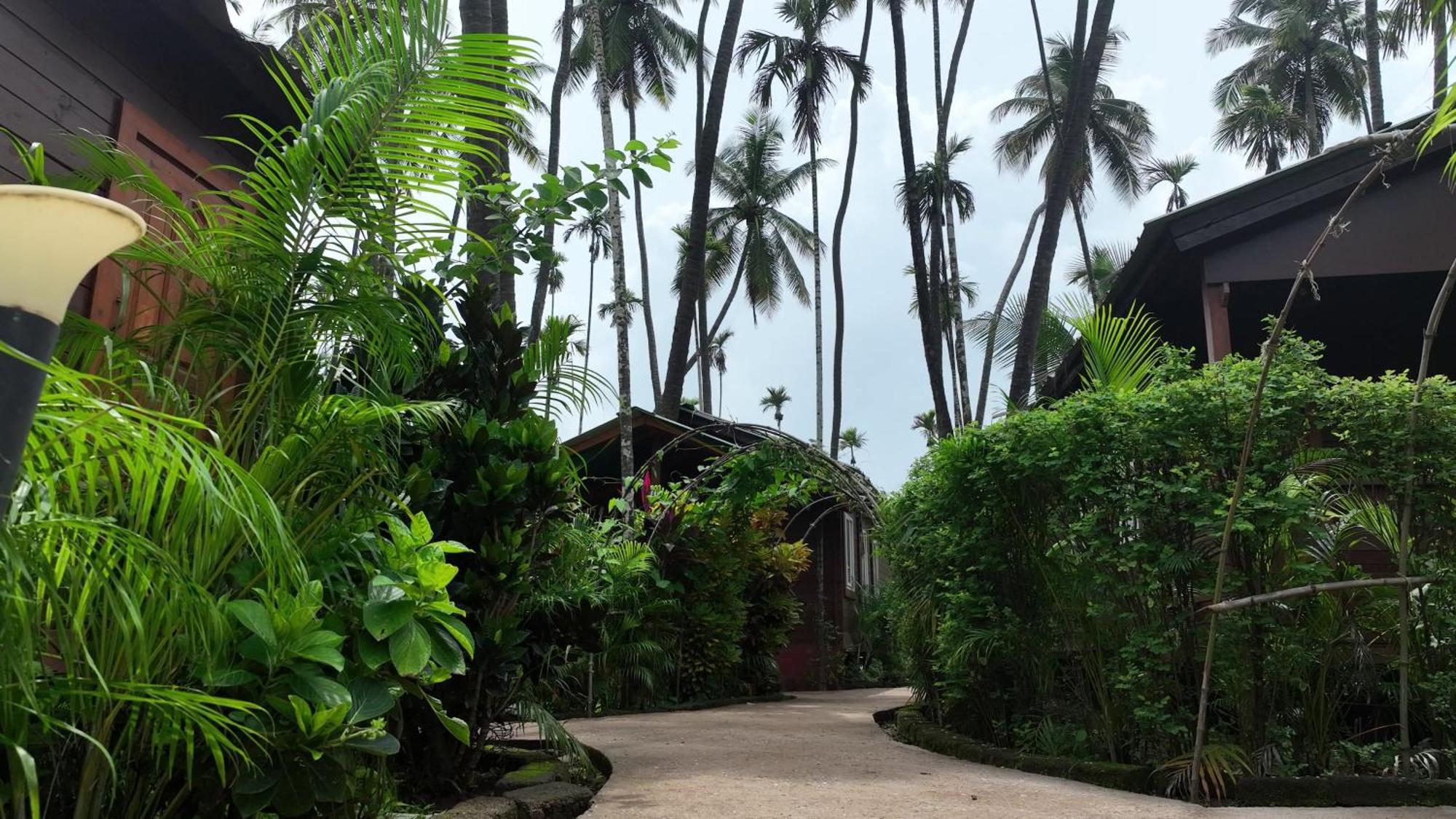 Tranquil Beach Resort Harihareshwar Exterior foto